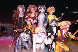 Cats
