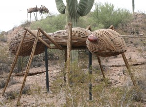 test4Big Bugs
