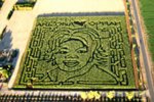 Q.C. farm features corn likeness to Winfrey 