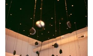 Mesa Contemporary Arts reveals 2006-07 exhibitions 