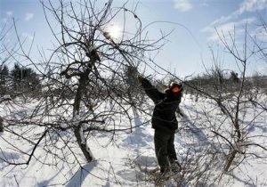 Shocking cold wave drops temps to 40 below 