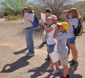 Gilbert bird walks