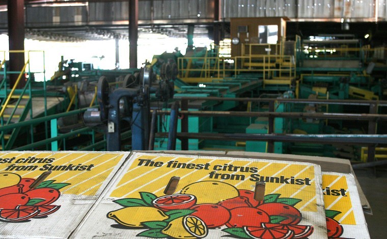 Mesa Citrus Growers