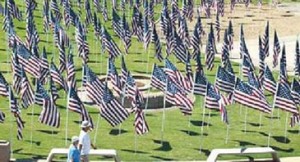 Field of flags for fallen 