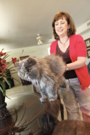 afn.082510.com.animalrescue5.jpg