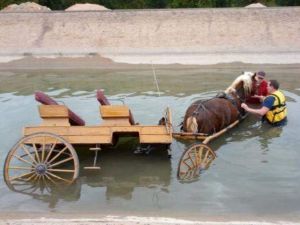 Horse and Buggy in Mesa canal
