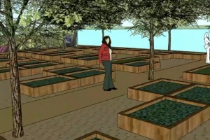 Mesa Urban Garden artists rendering
