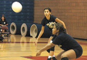 Glendale clubs look for rapid development 