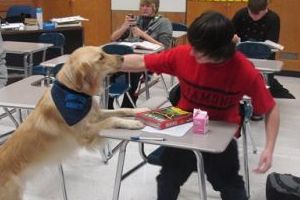Stressed Students