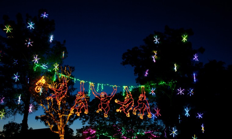 Zoolights
