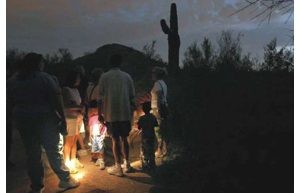 Night tours provide glimpse of botanical garden 