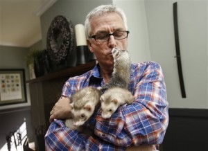 Pat Wright ferret