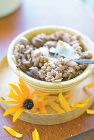 Mushroom Farro Risotto