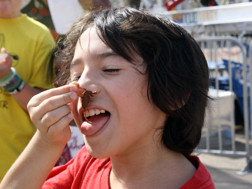 State Fair