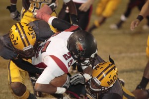 Chaparral at Marcos de Niza 