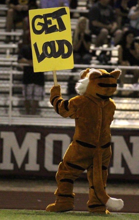 Gilbert at Red Mountain