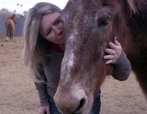 Wildhorse Ranch Rescue