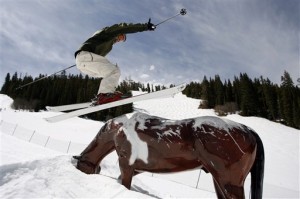 Snowboard Parks
