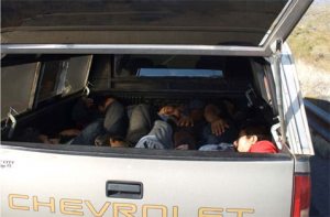 35 suspected illegal immigrants arrested 