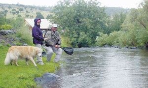Fly-fishing casts the perfect lure 