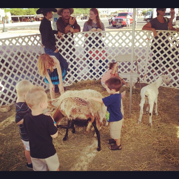 petting zoo