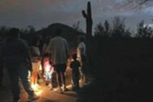 Flashlight tours provide glimpses of summer at Desert Botanical Garden 