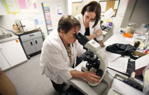 Meltdown affects abortion, birth control 