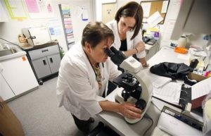 Meltdown affects abortion, birth control 