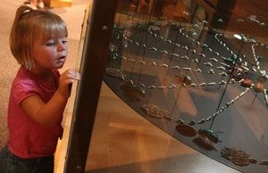 Science Center’s exhibit features creepy crawlies 