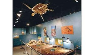 From prehistory to the Space Age, Mesa Southwest Museum chronicles Arizona’s contributions 