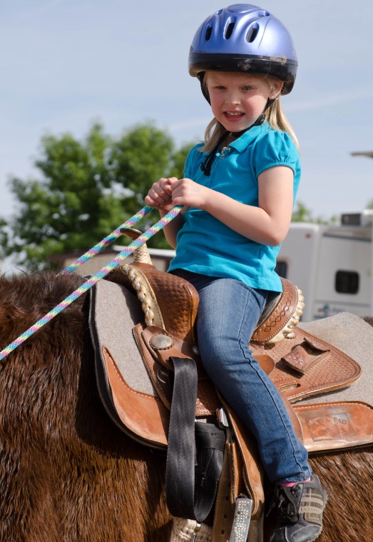 Equine Therapy
