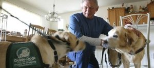 Couple help put guide dogs on paths to service 