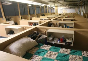 Shelter tries to take bite out of bedbugs 