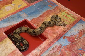 Anaconda Map of Chile