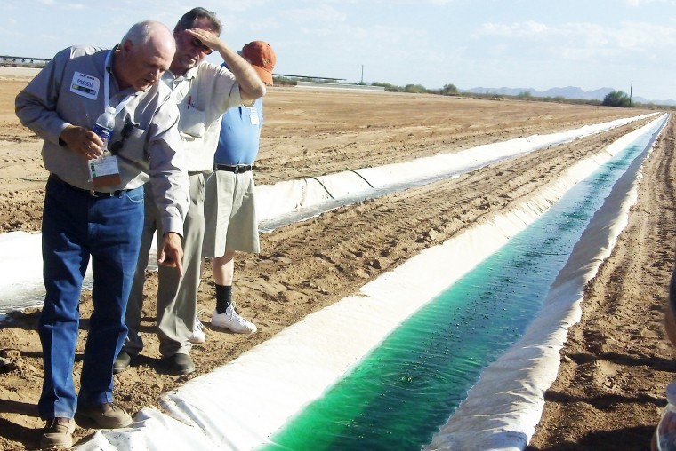FARMING ALGAE