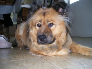 Tyson