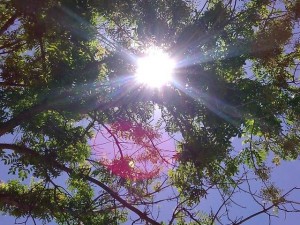 Storm chances back in forecast