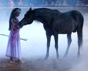 The Black Stallion Show brings classic tale to life 