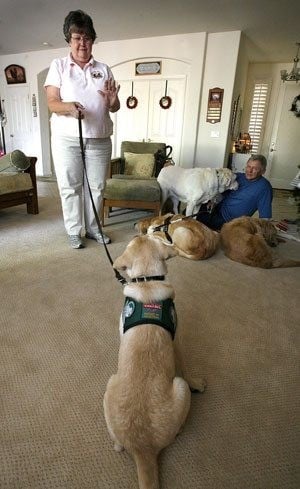 Couple help put guide dogs on paths to service 