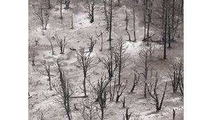 This year's wildfire season could be even worse 