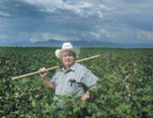 Part III - Farmers harvest a new cash crop: development 