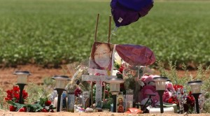 Report: Detective feared for partner's life 