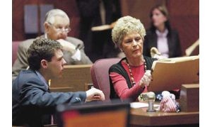 Multitasking gofers keep political machine going 