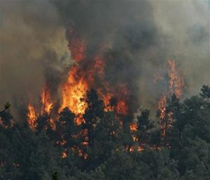 Southern California firelines: Outlook improves 