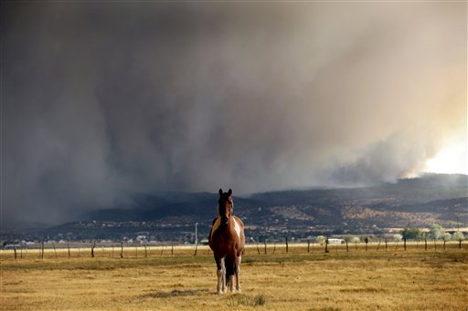 Arizona Wildfires