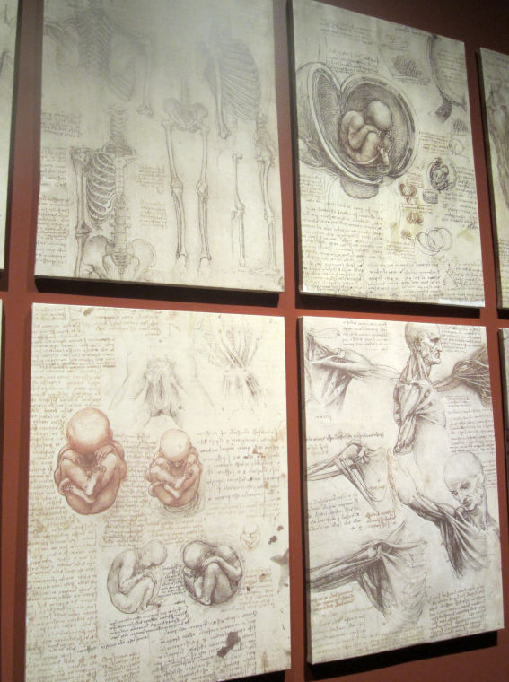 DaVinci The Genius