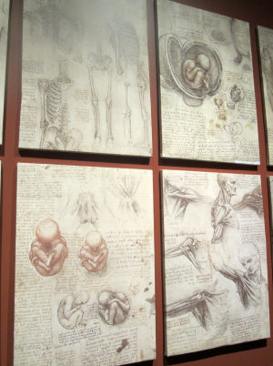 DaVinci The Genius