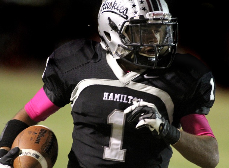 Basha at Hamilton