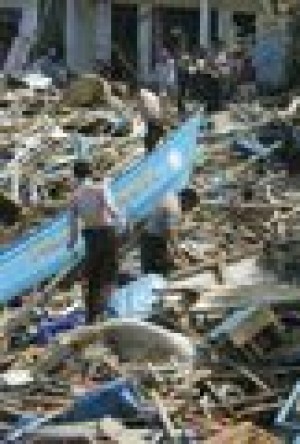 Wave rumors spark panic in tsunami zone 