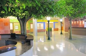 Children's hospital a 'unique healing place' 